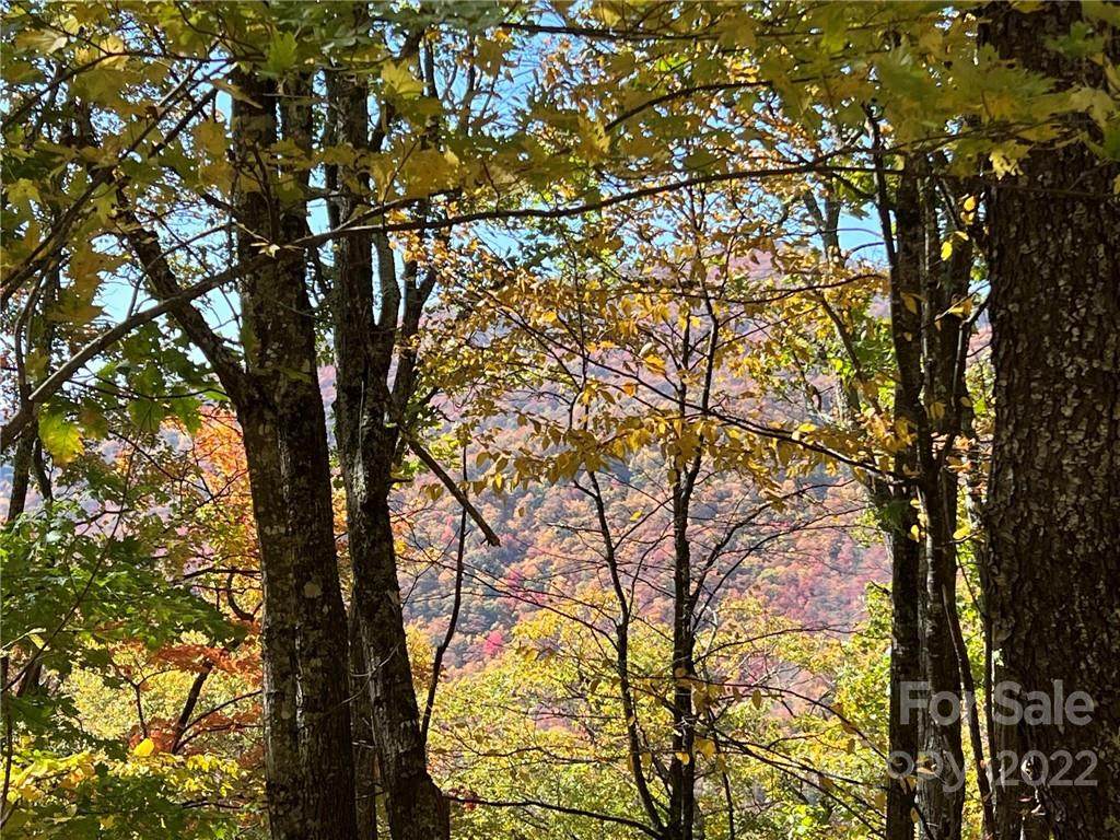 21 Scenic View Road - Photo 1