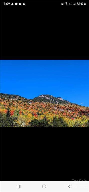 106 & 108 Smoketree Road - Photo 1