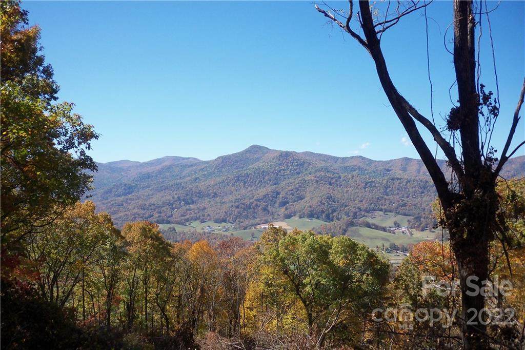 394 Aubrey Trail - Photo 1