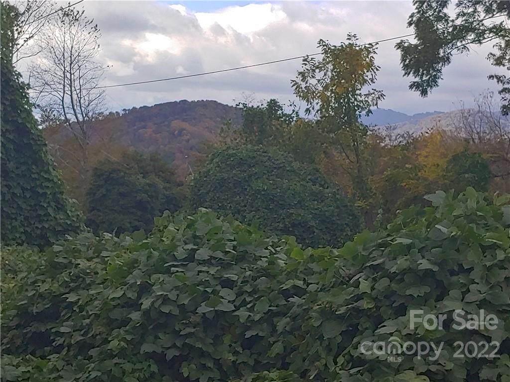 144 Walnut Cove Road - Photo 1