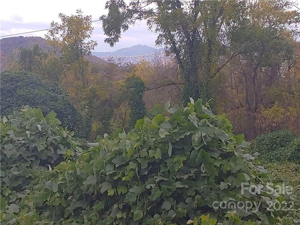 144 Walnut Cove Road - Photo 1