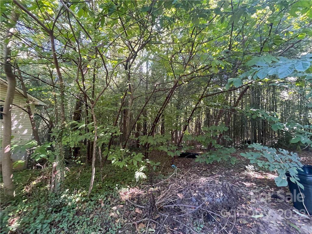804 Mount Ulla Highway - Photo 1