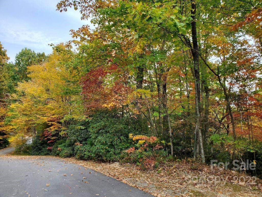 LOT 66 Sunny Ridge Road - Photo 1