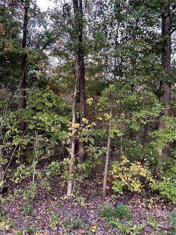 0 Liberty Road - Photo 1