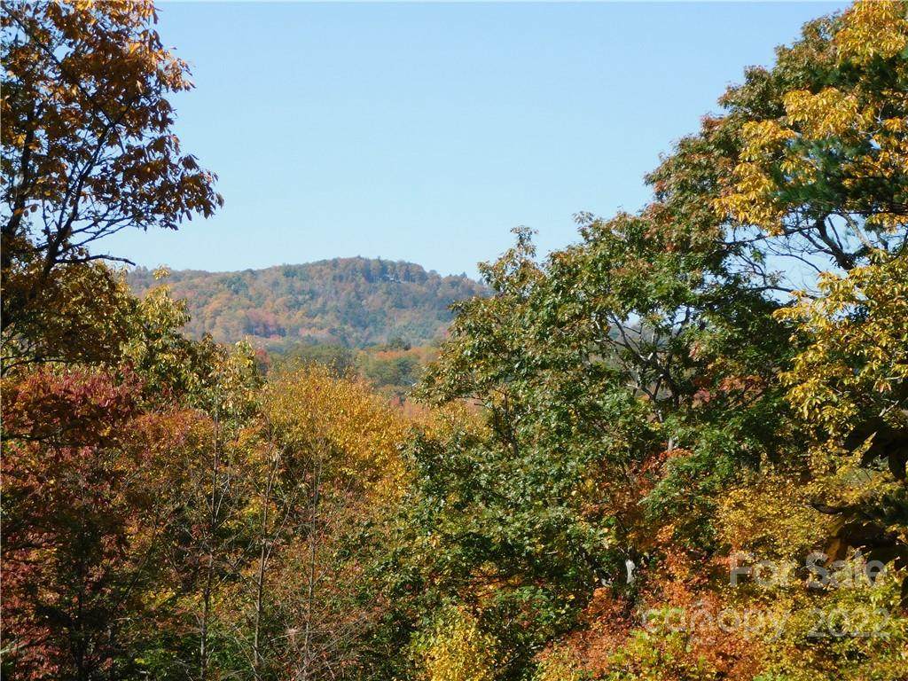 TBD Black Bear Trail - Photo 1