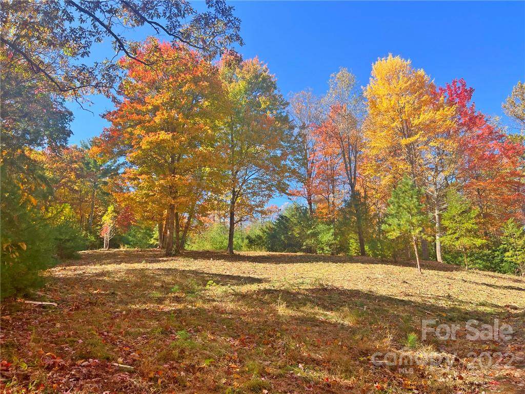 TBD Waldroup Road - Photo 1