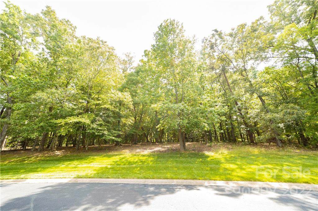 114 Yadkin Falls Road - Photo 1