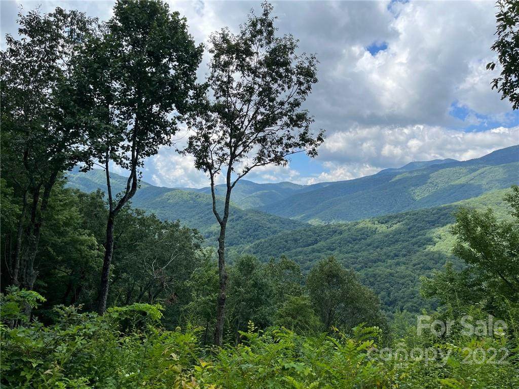 1885 Big Ridge Road - Photo 1