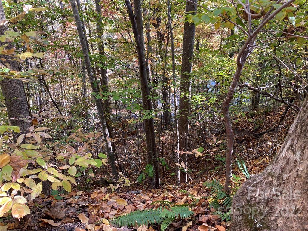 Lot 171 Deerfield Drive - Photo 1