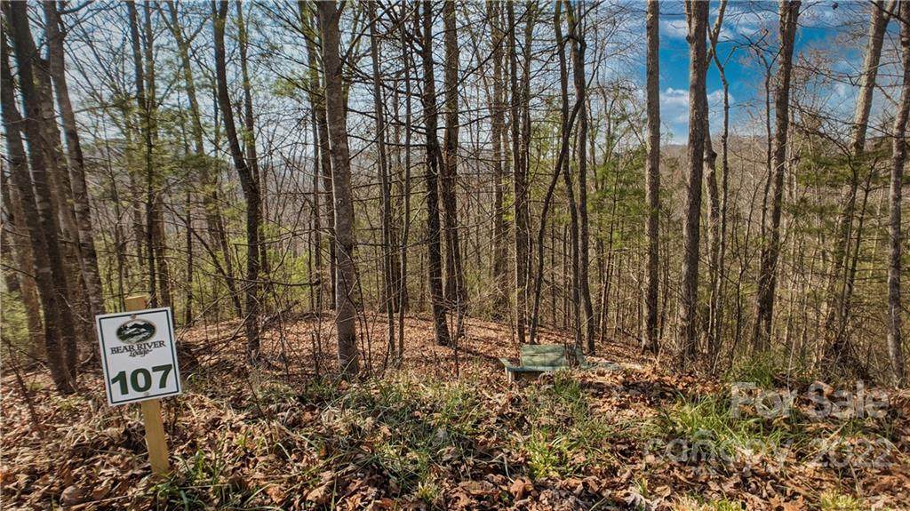 Lot 107 Laurel Ridge - Photo 1