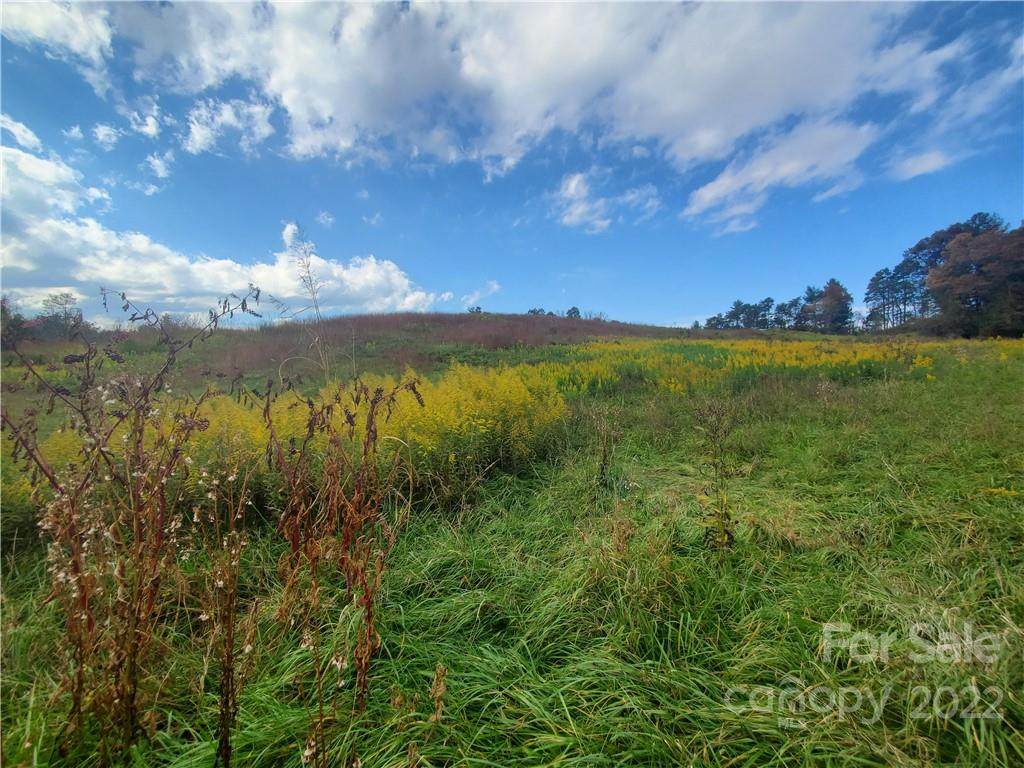 000 Allman Hill Road - Photo 1