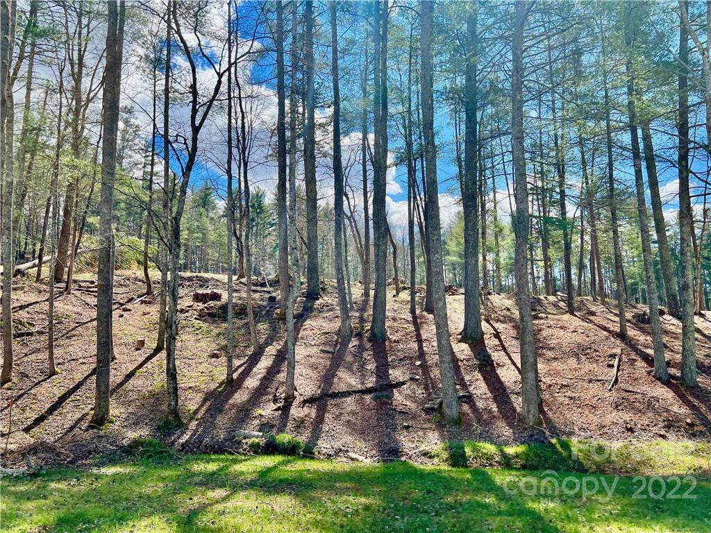 9.28 acres Hitching Post Trail - Photo 1