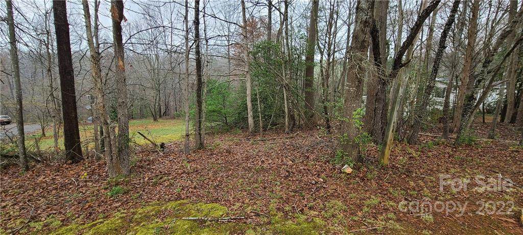 0 Hoke Lane - Photo 1