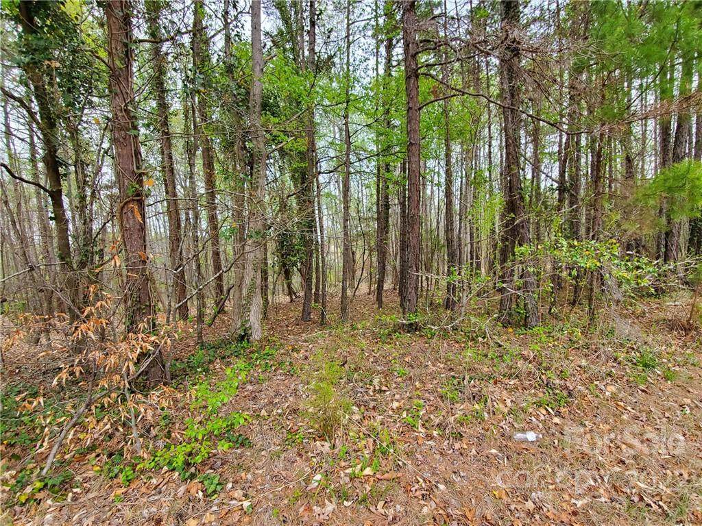 TBD Forest Lawn Drive - Photo 1