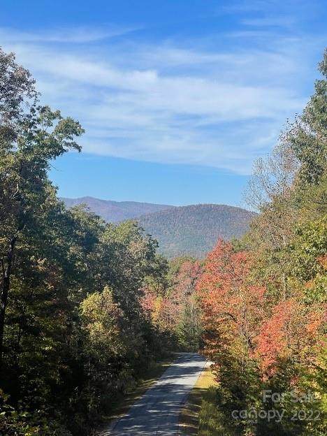 Lot 46 Lakewood Sub. Bald Eagle Road - Photo 1