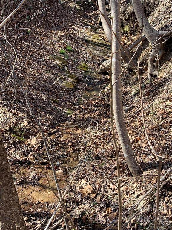 2141 Harm Creek Loop - Photo 1