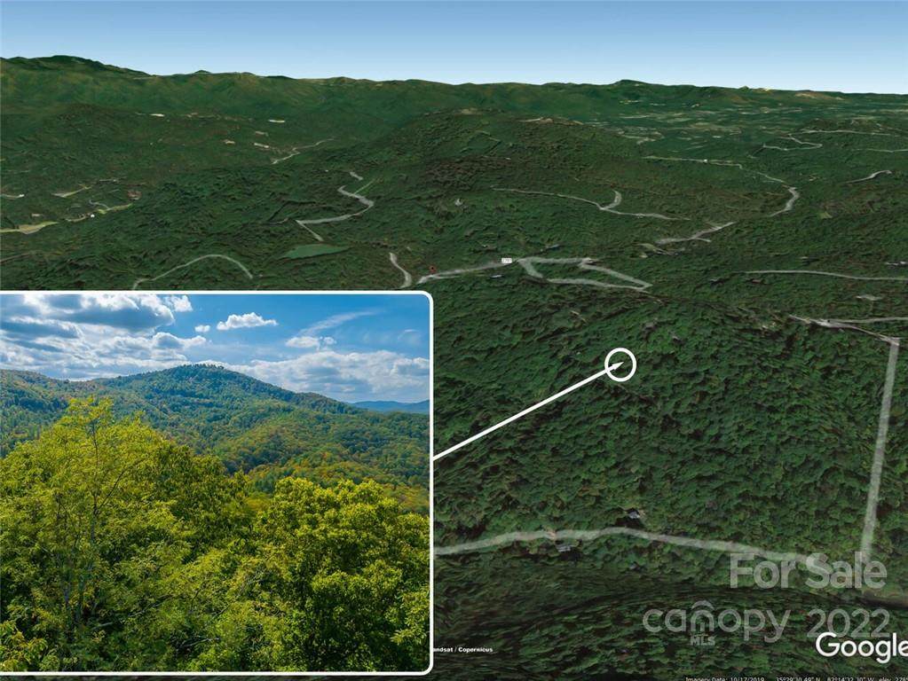 10.7+/- acres Mount Amy Road - Photo 1