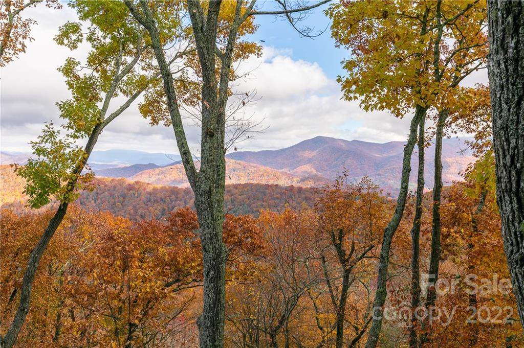 115 Stoney Falls Loop - Photo 1