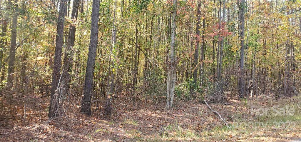 Lot 3 Foxridge Road - Photo 1