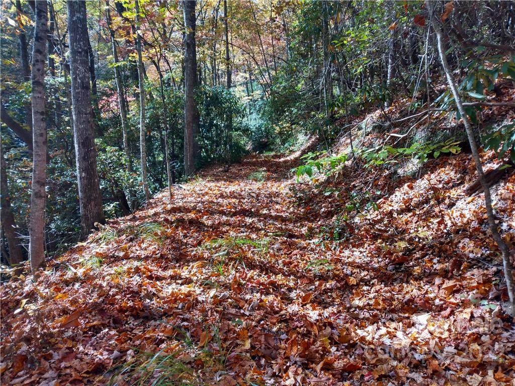TBD Erwin Hills Drive - Photo 1