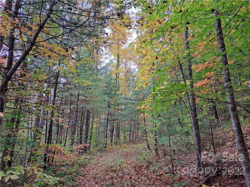 00000 Rock Creek Road - Photo 1