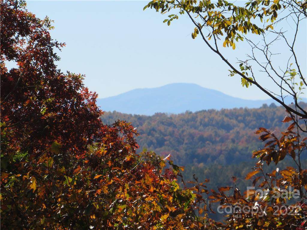 0 Mountain Forest Drive - Photo 1