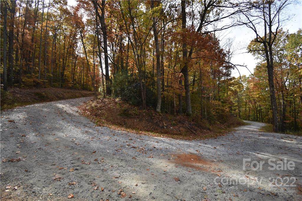 TBD Bradley Mountain Lane - Photo 1