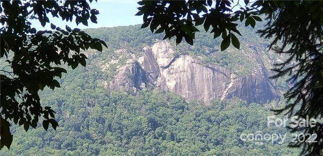 000 Youngs Mountain Drive - Photo 1