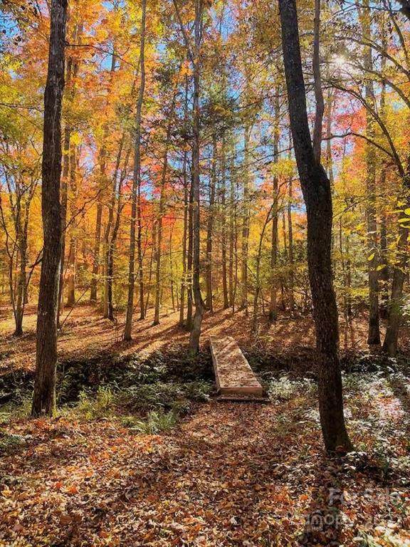 0 Cross Creek Trail - Photo 1