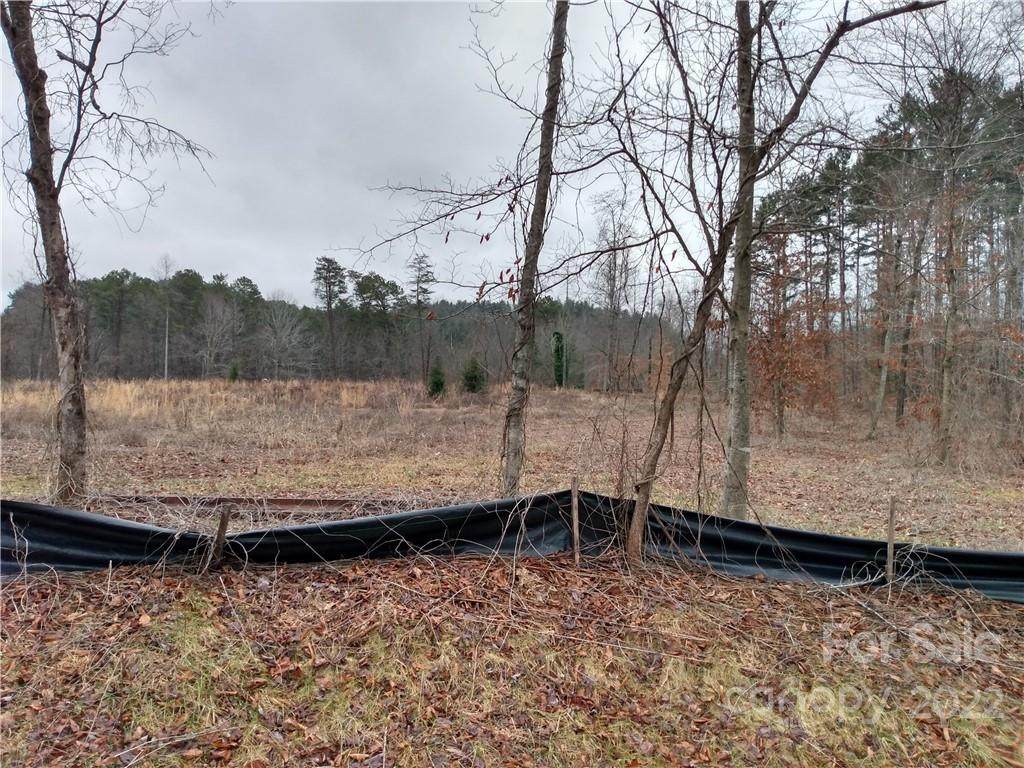 tbd Yancey Road - Photo 1