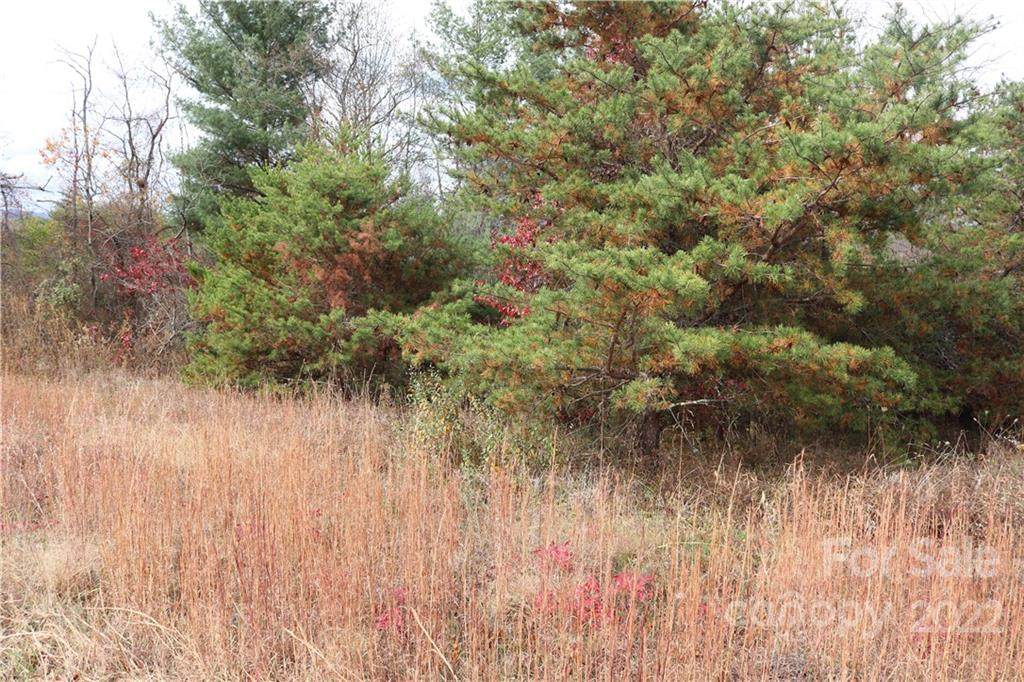 585 Morlin Acres Drive - Photo 1
