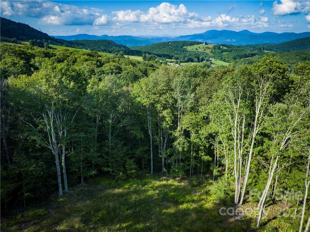 Lot 82 Monteagle - Photo 1