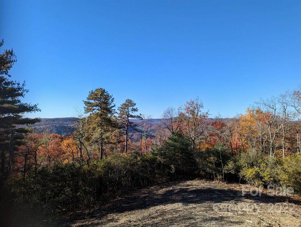 0000 Bulling Creek Road - Photo 1