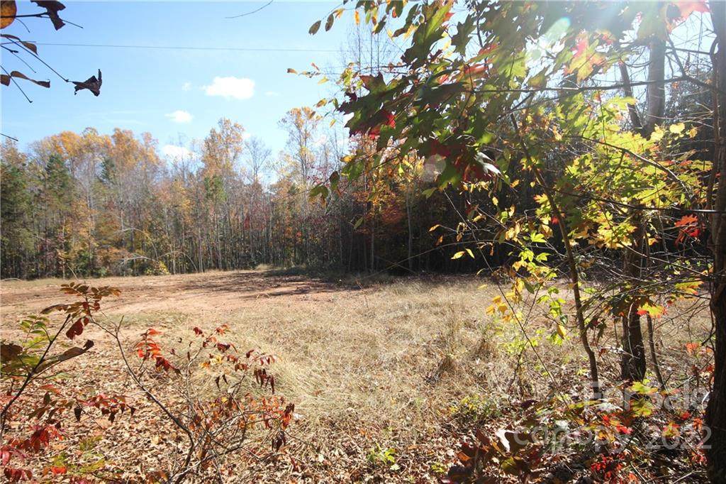 00 Beth Haven Church Road - Photo 1
