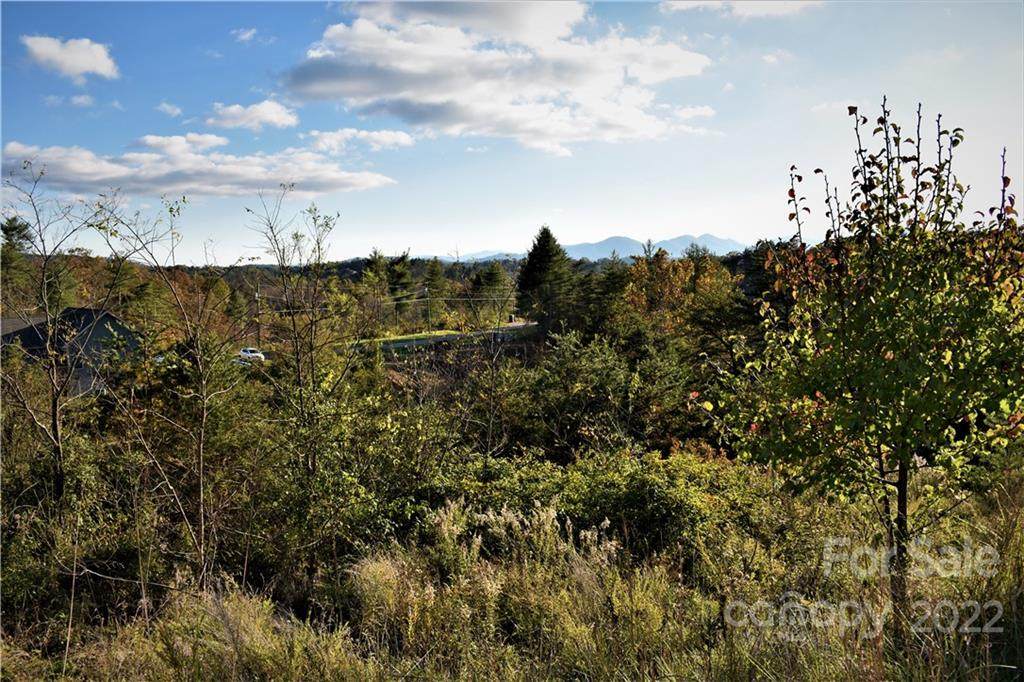 Lot 11 Big Rocky Top Drive - Photo 1