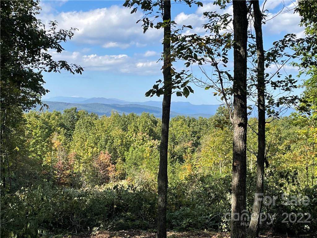 207 Mossy Oak Trail - Photo 1