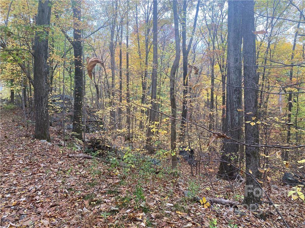 215 Big Rock Lane - Photo 1
