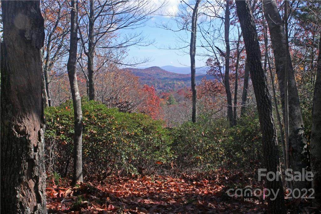 Lot 24 Toxaway Court - Photo 1