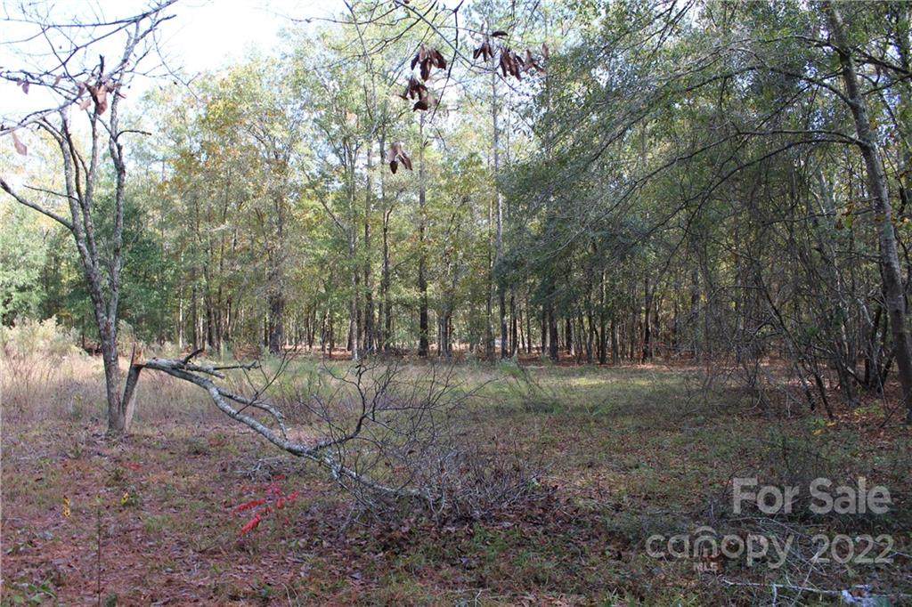 607 Jim Rucker Road - Photo 1