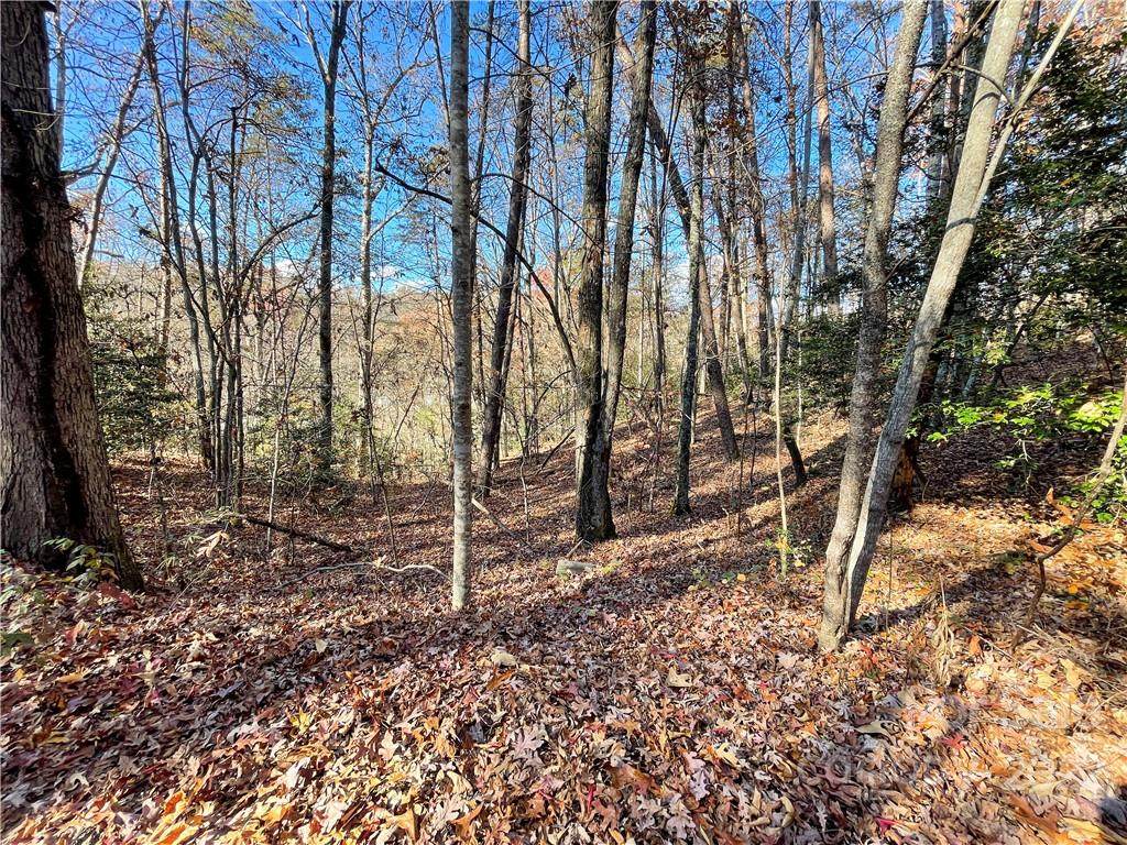 Lot 2 Blue Mist Mountain Road - Photo 1