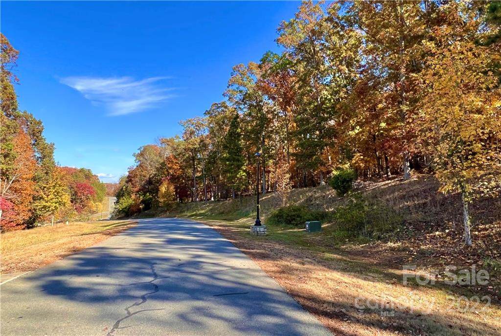 1423 Rocky Cove Lane - Photo 1