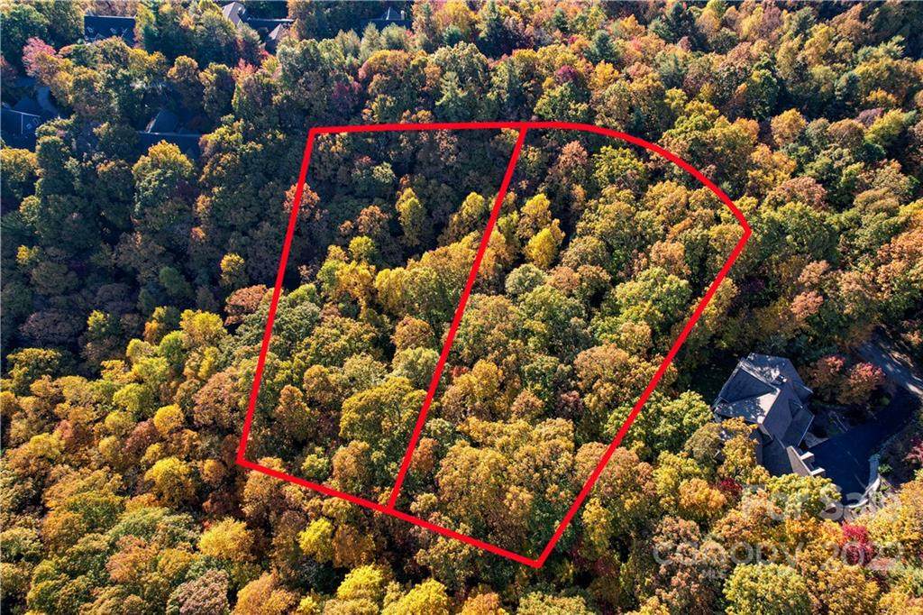 115 & 119 Ridge Lane - Photo 1