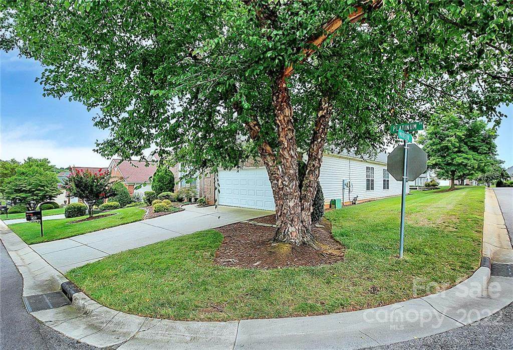 823 Platinum Drive - Photo 1