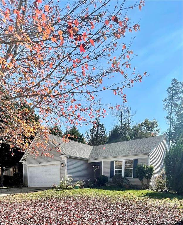 8534 Filbert Lane - Photo 1