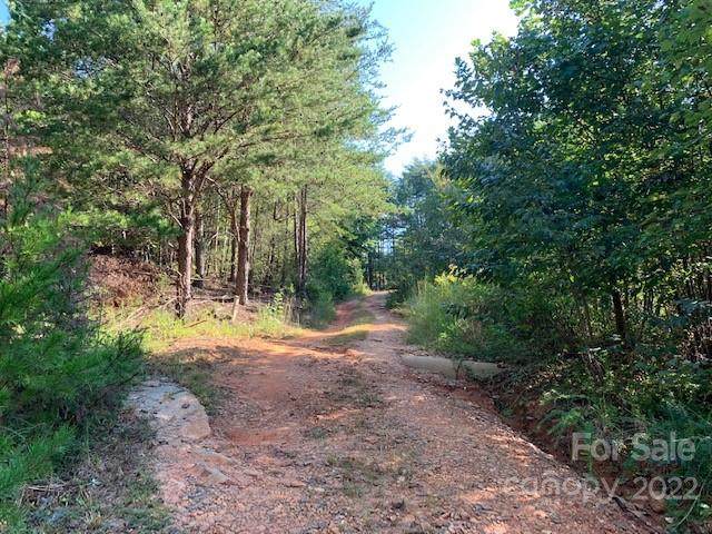 230 Dirty Ankle Road - Photo 1