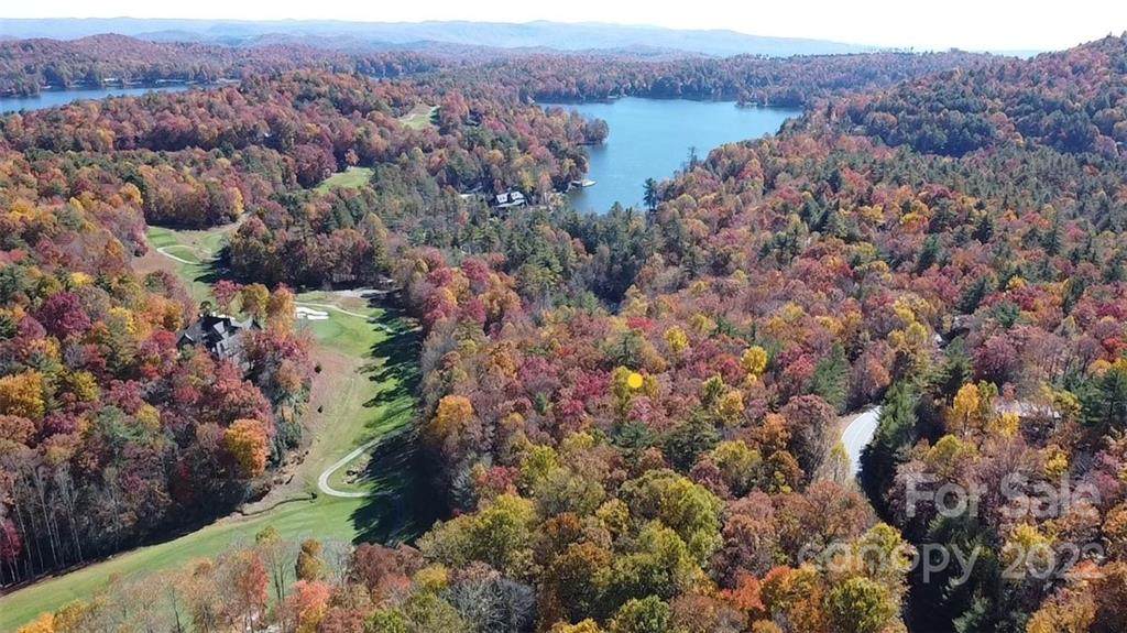0 Chestnut Trace - Photo 1
