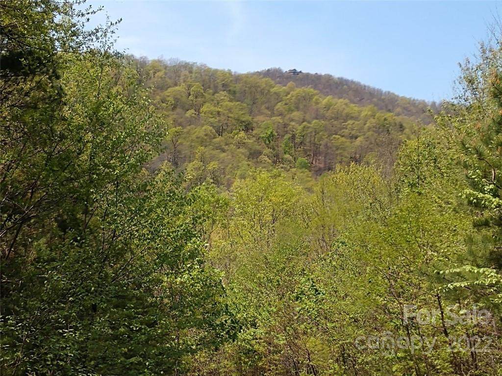 00 Attica Falls Trail - Photo 1