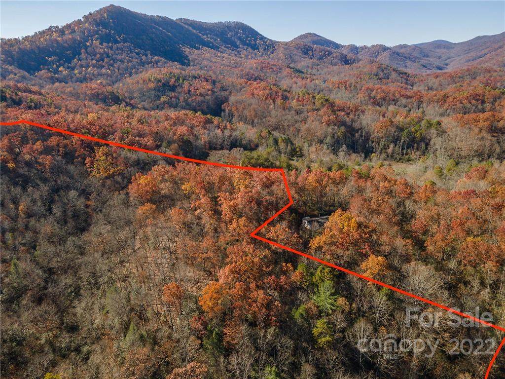 99999 Eula Parker Road - Photo 1
