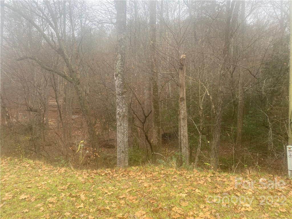 4664 Hwy 18 Highway - Photo 1