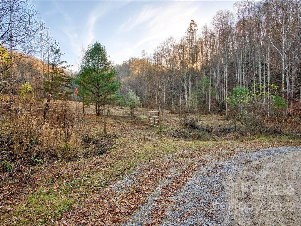 00 TBD White Oak Road - Photo 1